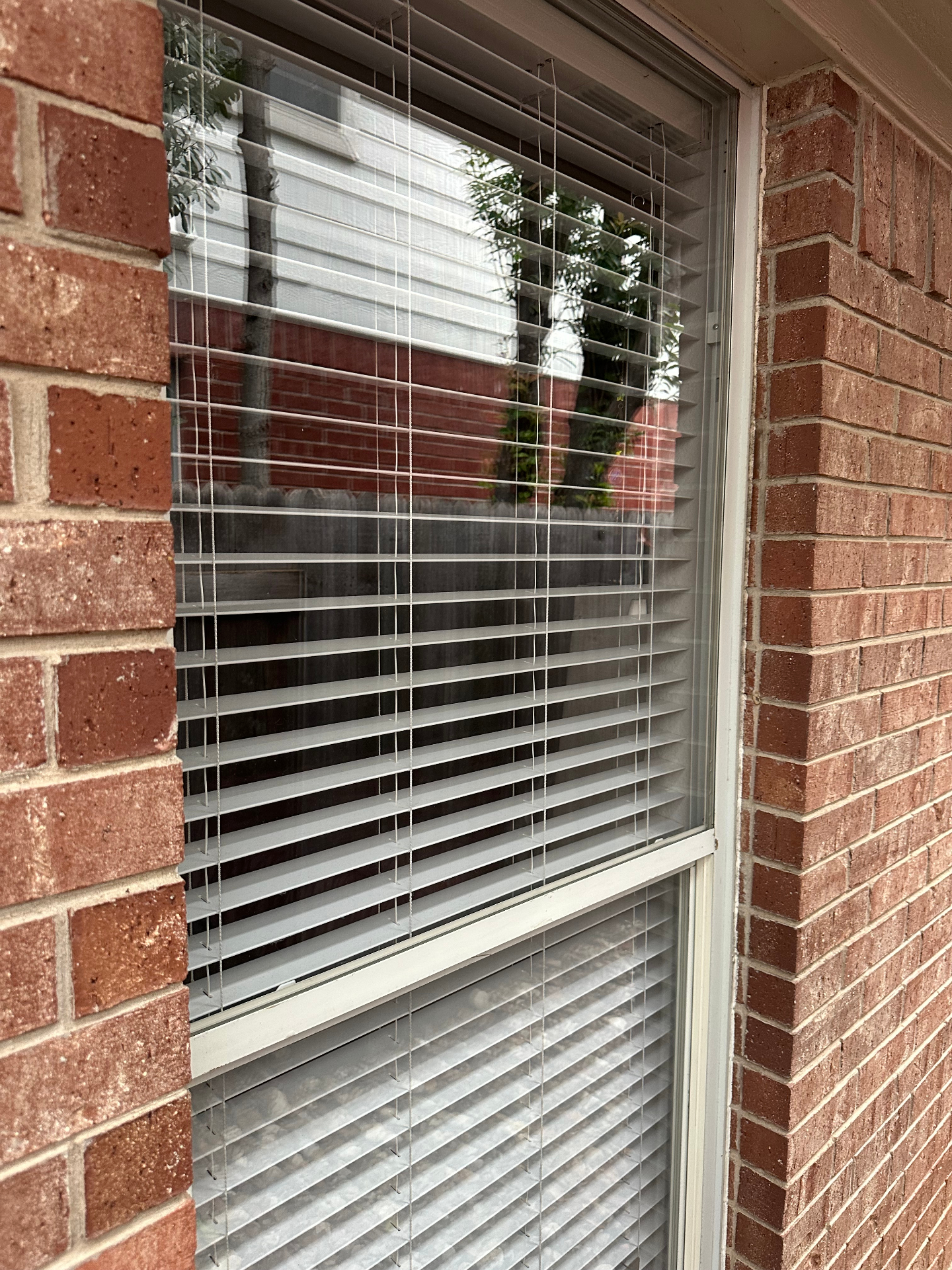 Crystal clear exterior window after Austin Clear cleaning